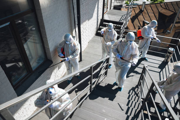 Best Emergency Mold Remediation  in Mililani Mauka, HI