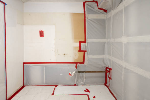Best Mold Documentation for Insurance Claims  in Mililani Mauka, HI