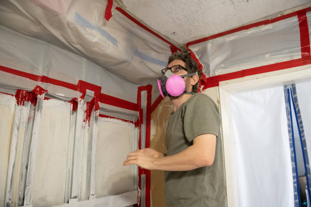  Mililani Mauka, HI Mold Removal Pros