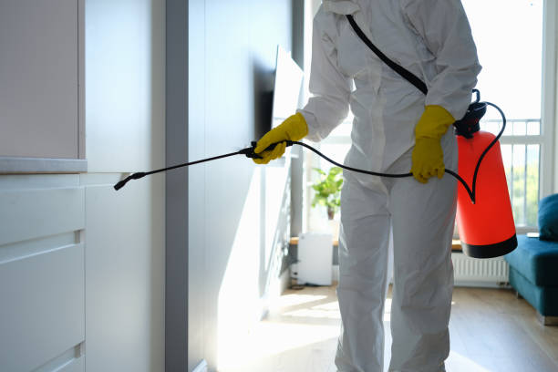 Best Water Damage & Mold Remediation  in Mililani Mauka, HI