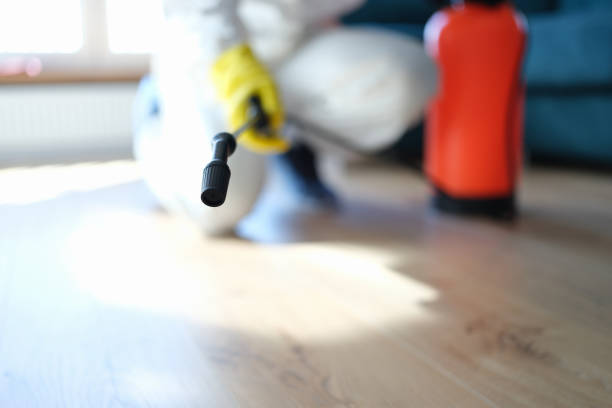 Best Asbestos and Lead Testing During Mold Inspection  in Mililani Mauka, HI
