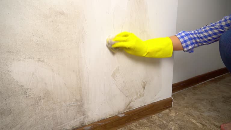 Mold Remediation for Rental Properties in Mililani Mauka, HI