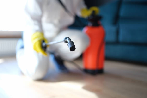 Best Mold Remediation for Rental Properties  in Mililani Mauka, HI