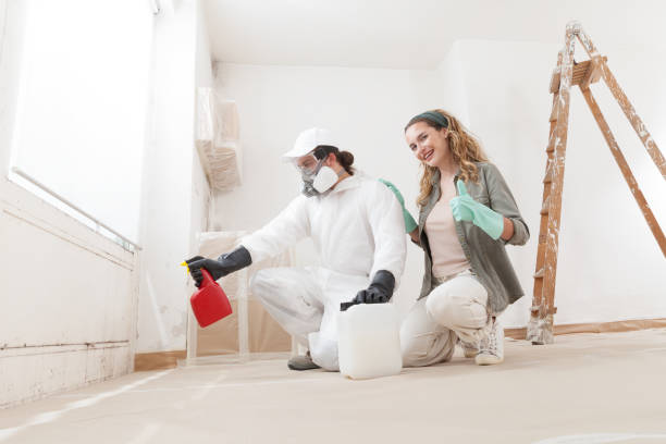 Best Indoor Air Quality Assessment  in Mililani Mauka, HI
