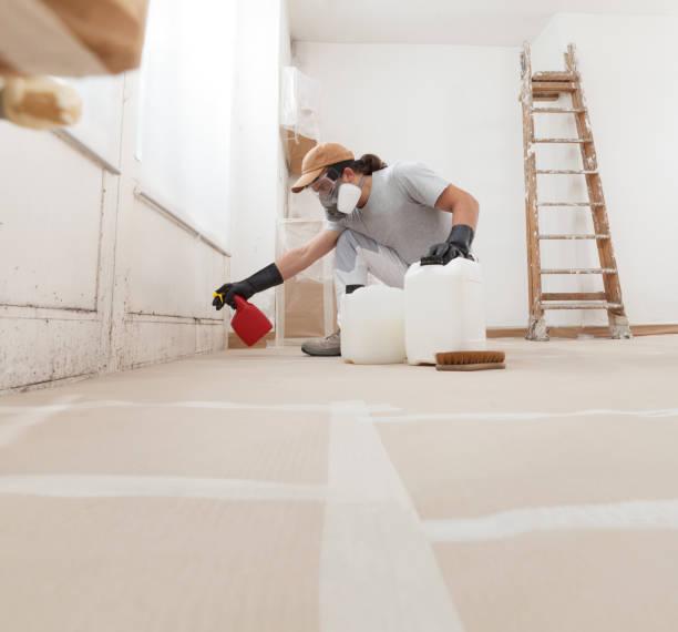 Best Environmental Consulting for Mold Prevention  in Mililani Mauka, HI