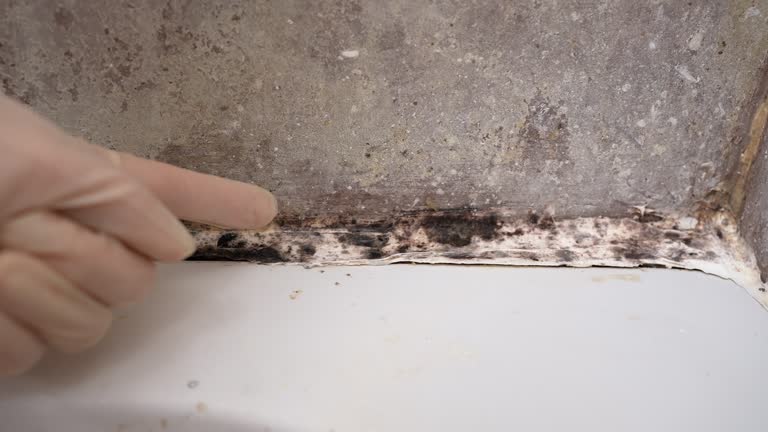 Best Forensic Mold Investigation  in Mililani Mauka, HI